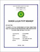 Hình ảnh thu nhỏ