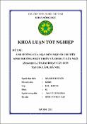 Hình ảnh thu nhỏ