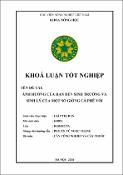 Hình ảnh thu nhỏ