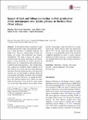 Hình ảnh thu nhỏ