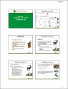 Hình ảnh thu nhỏ