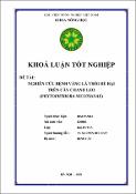 Hình ảnh thu nhỏ