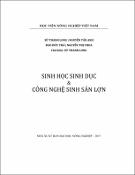 Hình ảnh thu nhỏ