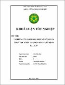 Hình ảnh thu nhỏ