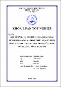 Hình ảnh thu nhỏ