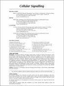 Hình ảnh thu nhỏ