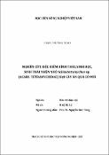 Hình ảnh thu nhỏ