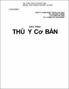 Hình ảnh thu nhỏ