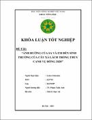Hình ảnh thu nhỏ