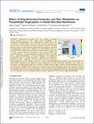 Hình ảnh thu nhỏ