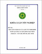 Hình ảnh thu nhỏ