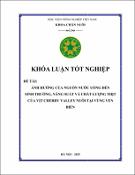 Hình ảnh thu nhỏ