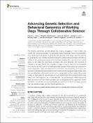 Hình ảnh thu nhỏ