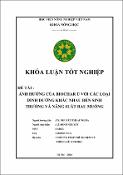 Hình ảnh thu nhỏ