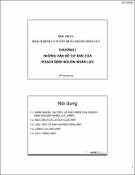 Hình ảnh thu nhỏ