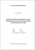 Hình ảnh thu nhỏ