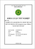 Hình ảnh thu nhỏ