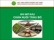 Hình ảnh thu nhỏ