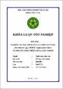 Hình ảnh thu nhỏ