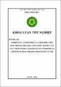 Hình ảnh thu nhỏ