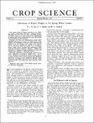 Hình ảnh thu nhỏ