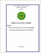 Hình ảnh thu nhỏ