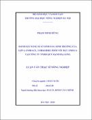 Hình ảnh thu nhỏ