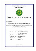 Hình ảnh thu nhỏ