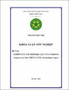 Hình ảnh thu nhỏ