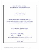 Hình ảnh thu nhỏ