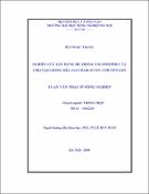 Hình ảnh thu nhỏ