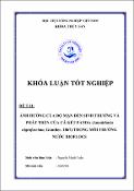 Hình ảnh thu nhỏ