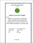 Hình ảnh thu nhỏ