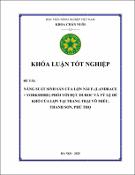 Hình ảnh thu nhỏ