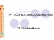 Hình ảnh thu nhỏ