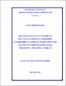 Hình ảnh thu nhỏ