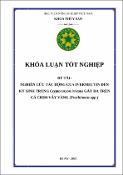 Hình ảnh thu nhỏ