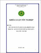 Hình ảnh thu nhỏ