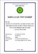 Hình ảnh thu nhỏ