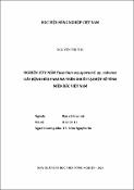 Hình ảnh thu nhỏ