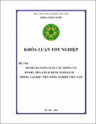 Hình ảnh thu nhỏ