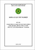Hình ảnh thu nhỏ