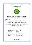 Hình ảnh thu nhỏ