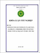 Hình ảnh thu nhỏ