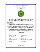 Hình ảnh thu nhỏ