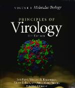 Hình ảnh thu nhỏ