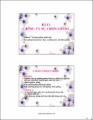 Hình ảnh thu nhỏ