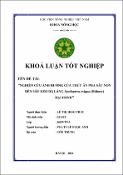 Hình ảnh thu nhỏ
