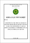 Hình ảnh thu nhỏ