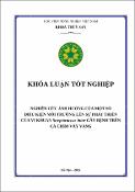 Hình ảnh thu nhỏ